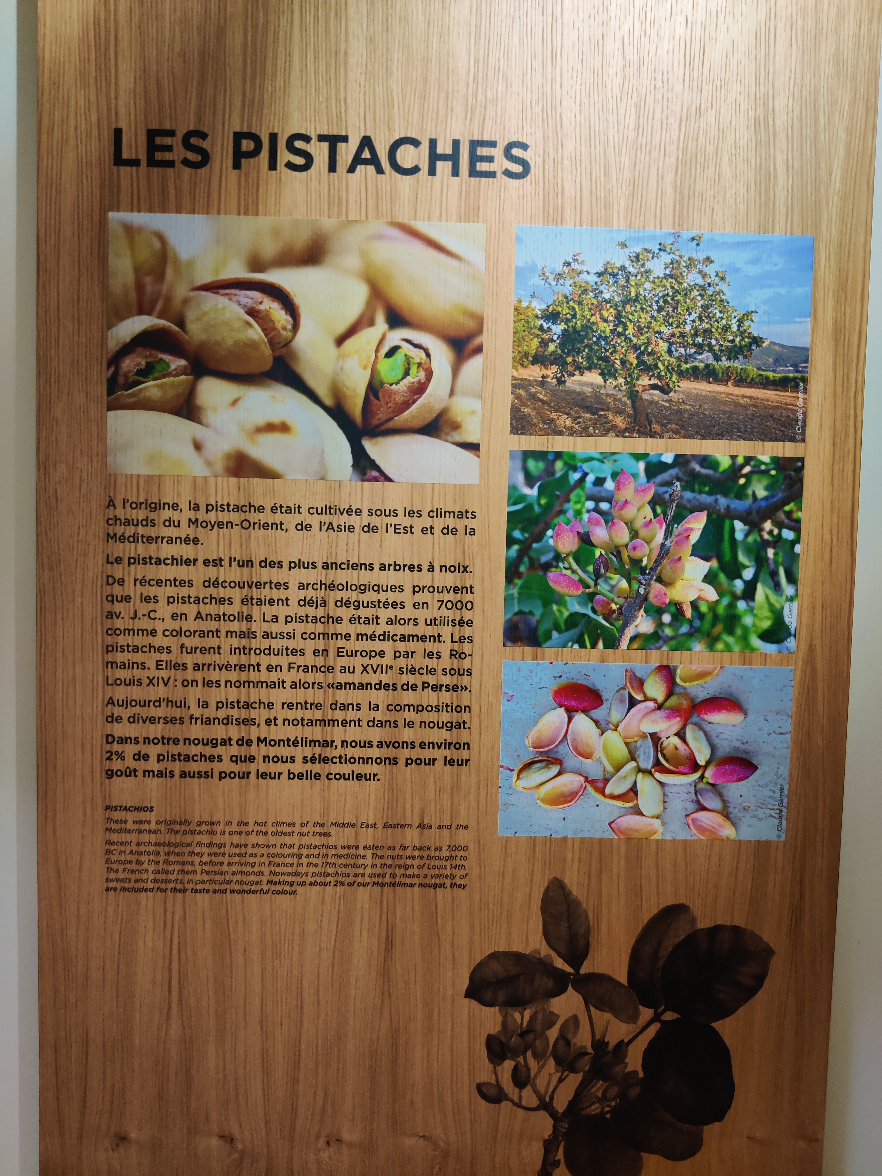 Photo n° 6 de l'avis de Cori.n fait le 19/07/2021 à 13:21