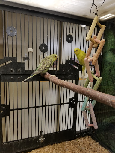 Pet Supply Store «PetSmart», reviews and photos, 310 N White Horse Pike, Lawnside, NJ 08045, USA