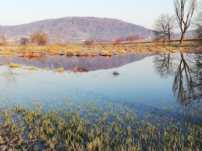 Parkplatz Stadlersee