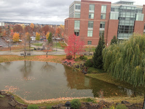 Washington State University, Spokane