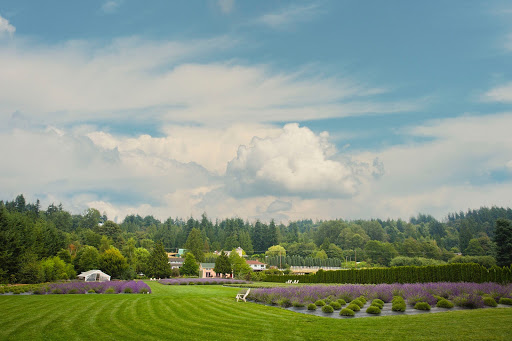 Event Venue «Woodinville Lavender», reviews and photos, 14223 Woodinville-Redmond Rd NE, Redmond, WA 98052, USA