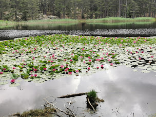 Photo n°29 de A Merendella Soccia à Soccia ()