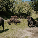 Photo n°3 de l'avis de sebi. fait le 06/10/2021 à 17:42 sur le  Lammershof à Birkenau