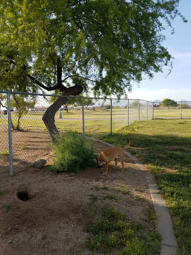 Park «Friendship Park», reviews and photos, 12325 W McDowell Rd, Avondale, AZ 85323, USA