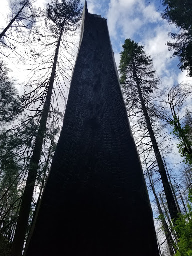Tourist Attraction «Fairy Falls», reviews and photos, Wahkeena Trail #420, Corbett, OR 97019, USA