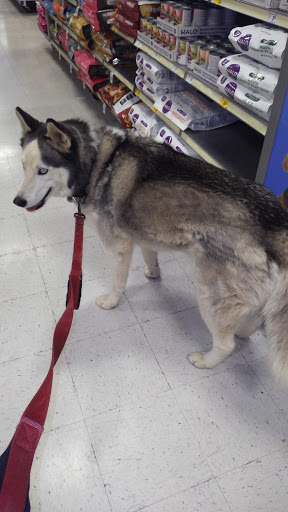 Pet Supply Store «PetSmart», reviews and photos, 79375 CA-111, La Quinta, CA 92253, USA