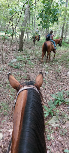 Horseback Riding Service «Secret Passage Ranch», reviews and photos, 321 Spring Mountain Way, Fort Valley, VA 22652, USA