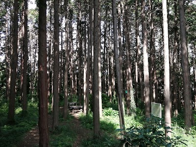ひのきの森広場