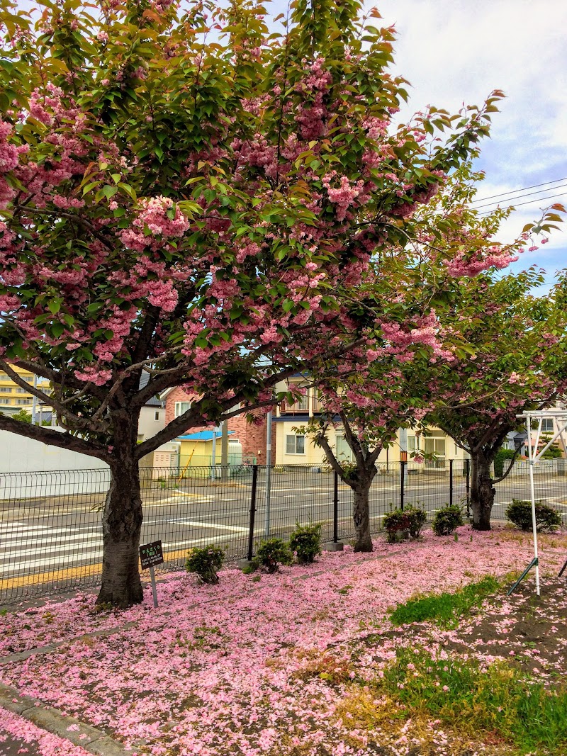 函館市立中島小学校