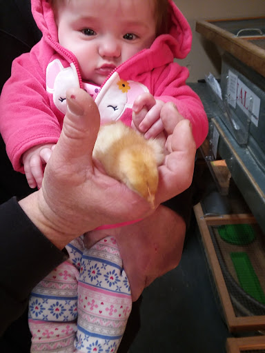 Garden Center «Animals and Gardens Unlimited», reviews and photos, 14 Jacobstown Rd, New Egypt, NJ 08533, USA