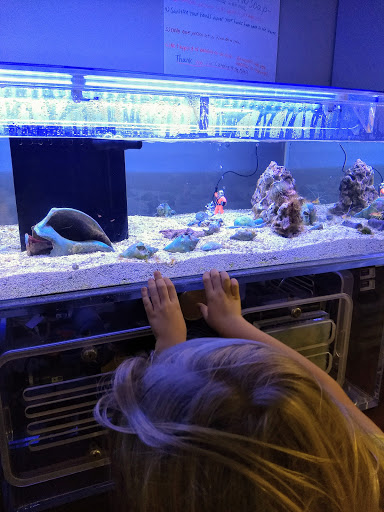 Aquarium Cary