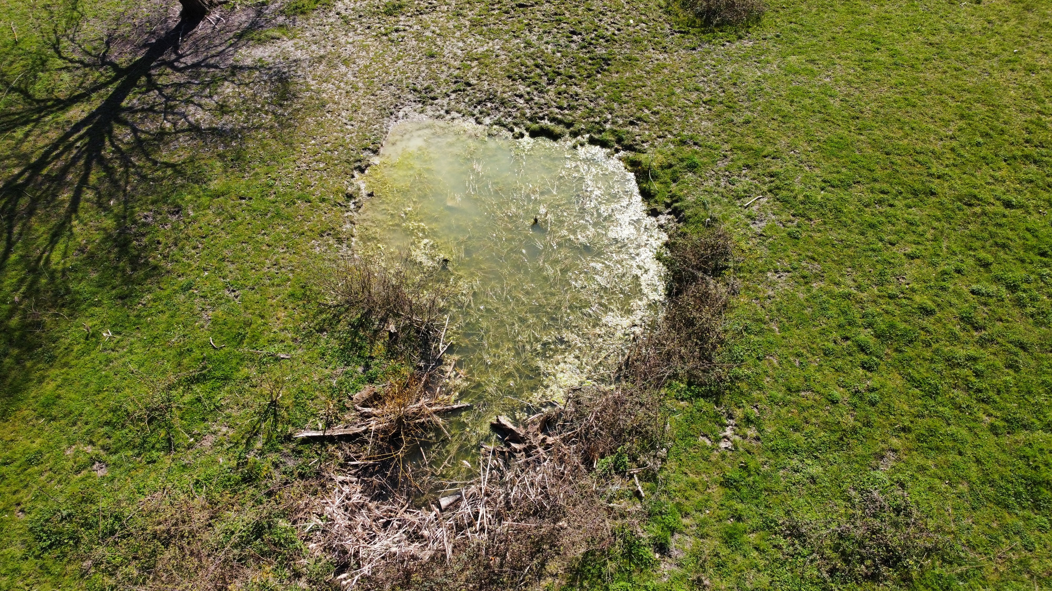 Photo n° 3 de l'avis de jean-pierre.e fait le 24/03/2021 à 14:45