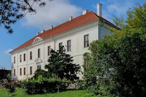 Schloss Großkühnau image