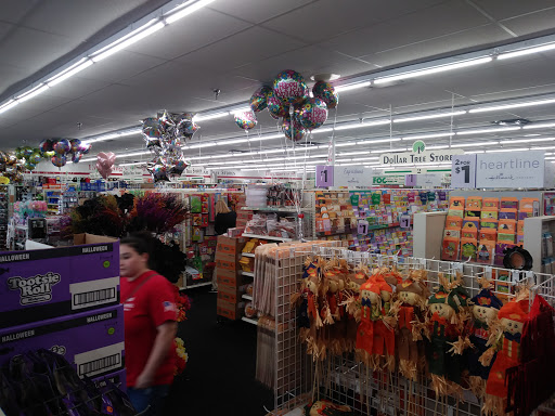 Dollar Store «Dollar Tree», reviews and photos, 417 N Enola Rd, Enola, PA 17025, USA