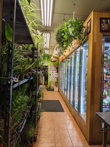 Florist «Cappelletti Florist Inc», reviews and photos, 1907 Bergenline Ave Suite #1, Union City, NJ 07087, USA