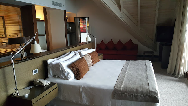Hotel De Los Volcanes - Puerto Varas