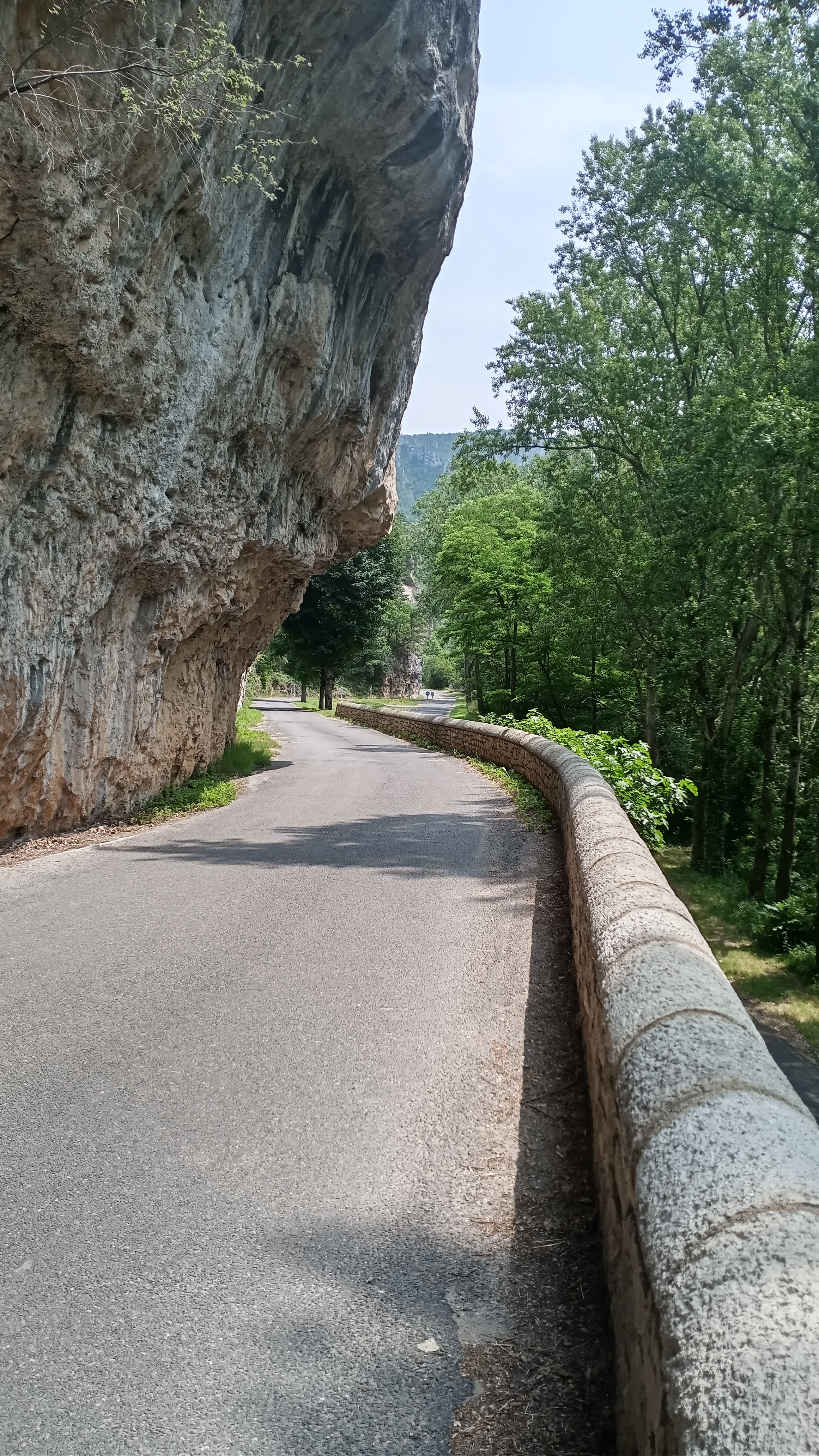 Photo n° 6 de l'avis de didier.e fait le 28/06/2023 à 18:28