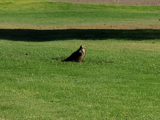 Golf Club «Lone Star Golf Club», reviews and photos, 1510 Hawkins Boulevard, El Paso, TX 79925, USA