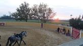 Ecole d'Equitation du Bélice Beaucaire