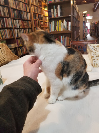 Used Book Store «Snowball Bookshop», reviews and photos, 564 W Tuscarawas Ave # 102, Barberton, OH 44203, USA