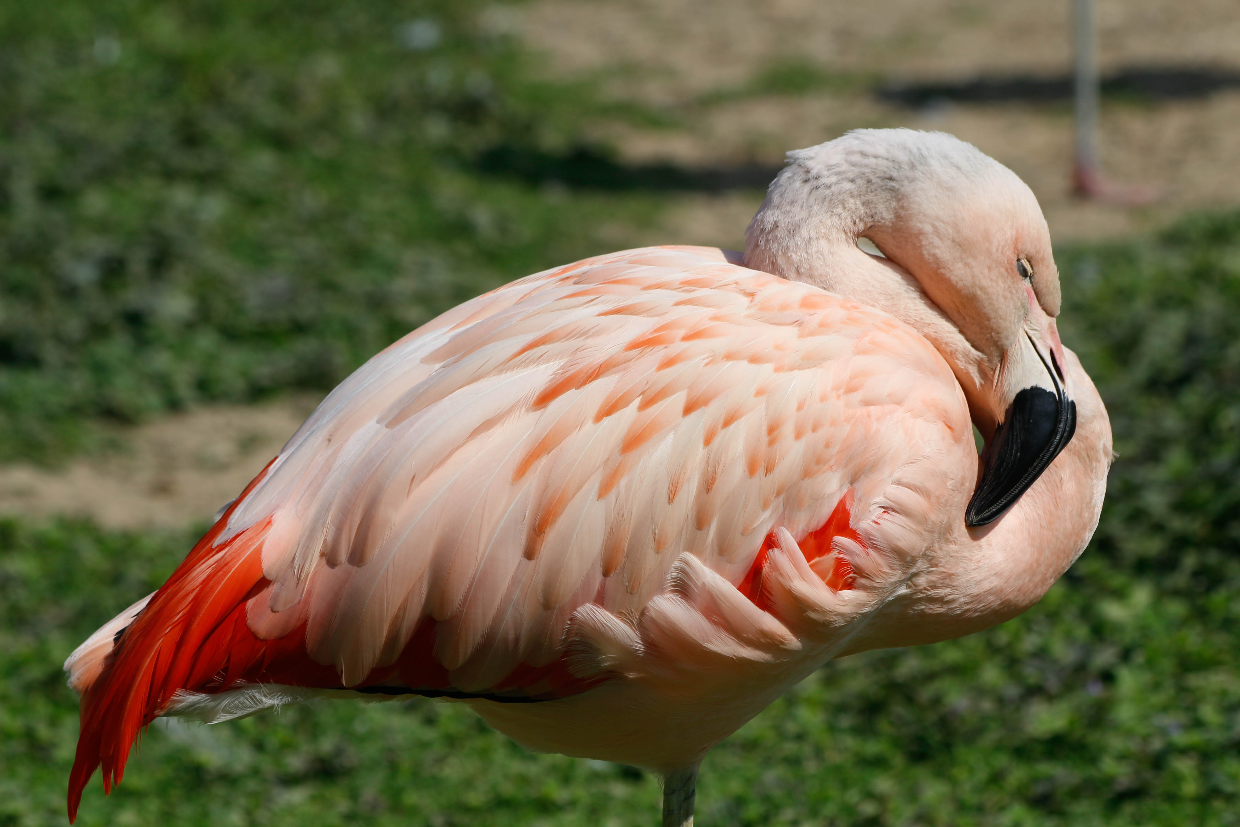 Photo n° 2 de l'avis de Laurent. fait le 05/08/2022 à 12:06