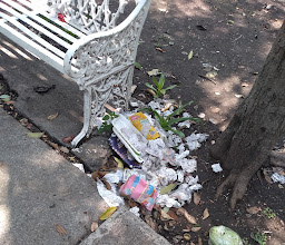 Romero de Terreros Park photo