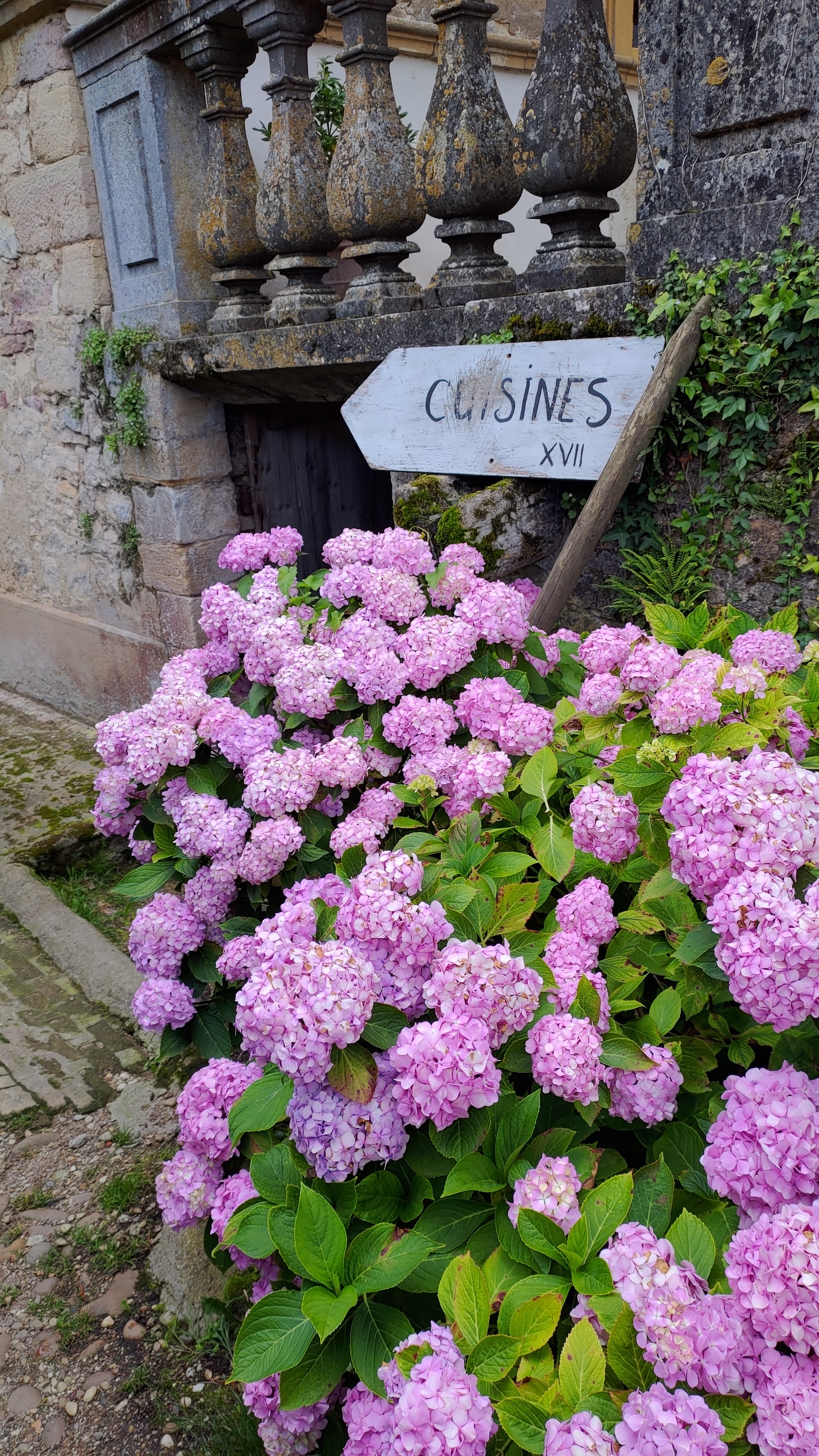 Photo n° 10 de l'avis de jean-philippe.a fait le 28/07/2021 à 15:21