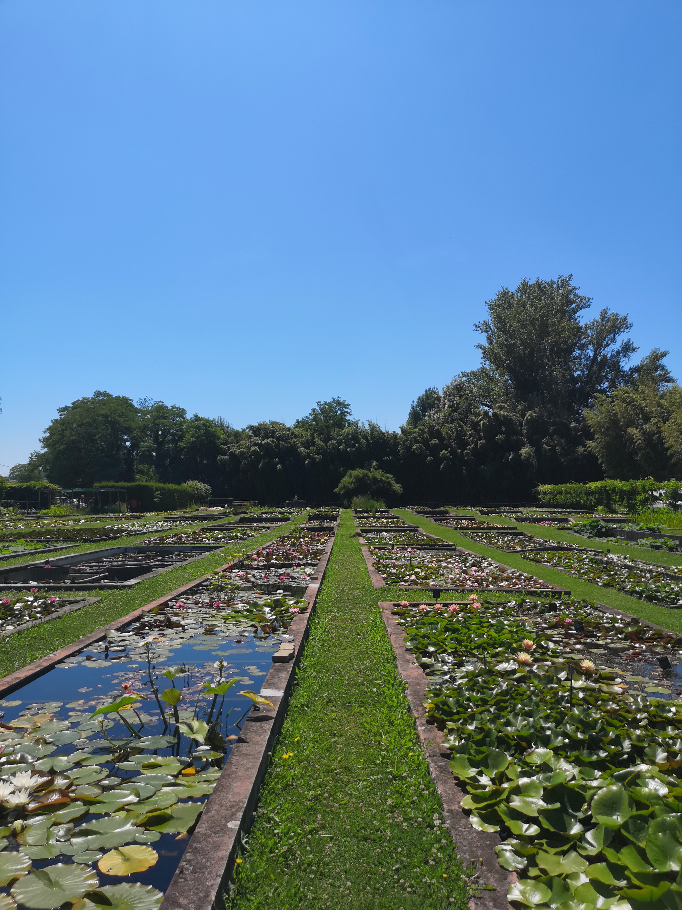 Photo n° 3 de l'avis de Sarah.. fait le 07/07/2018 à 13:25