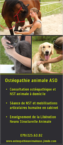 Osteopathie Animale - Alexandra Solakovic - Chiropraktiker
