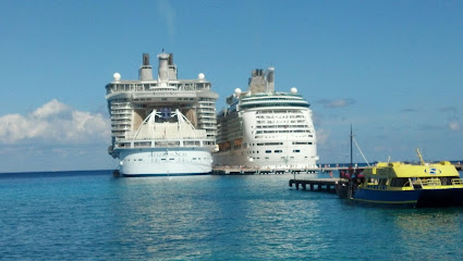 Affordable Cruises N More
