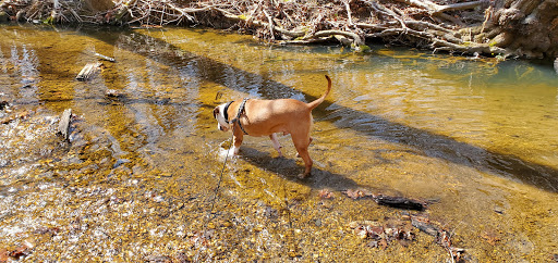 Park «Fairland Recreational Park», reviews and photos, 3928 Greencastle Rd, Burtonsville, MD 20866, USA