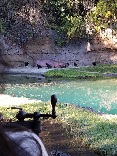 Performing Arts Theater «Blue Man Group», reviews and photos, 6000 Universal Blvd, Orlando, FL 32819, USA