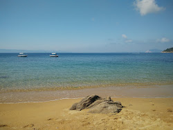 Katharina beach'in fotoğrafı vahşi alan