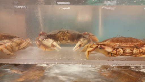 Supermarket «Sun Sang Supermarket», reviews and photos, 1211 8th Ave, Oakland, CA 94606, USA