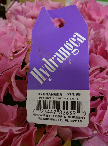 Supermarket «Publix Super Market at Midway Shopping Center», reviews and photos, 4900 Atlanta Hwy, Alpharetta, GA 30004, USA