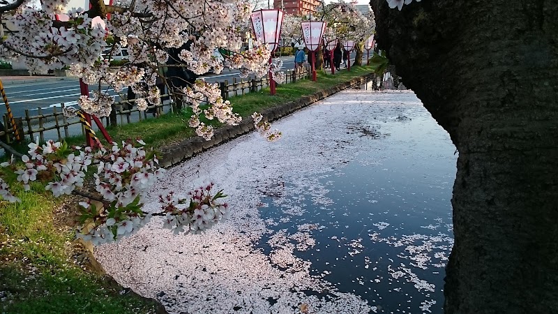 弘前文化センター駐車場