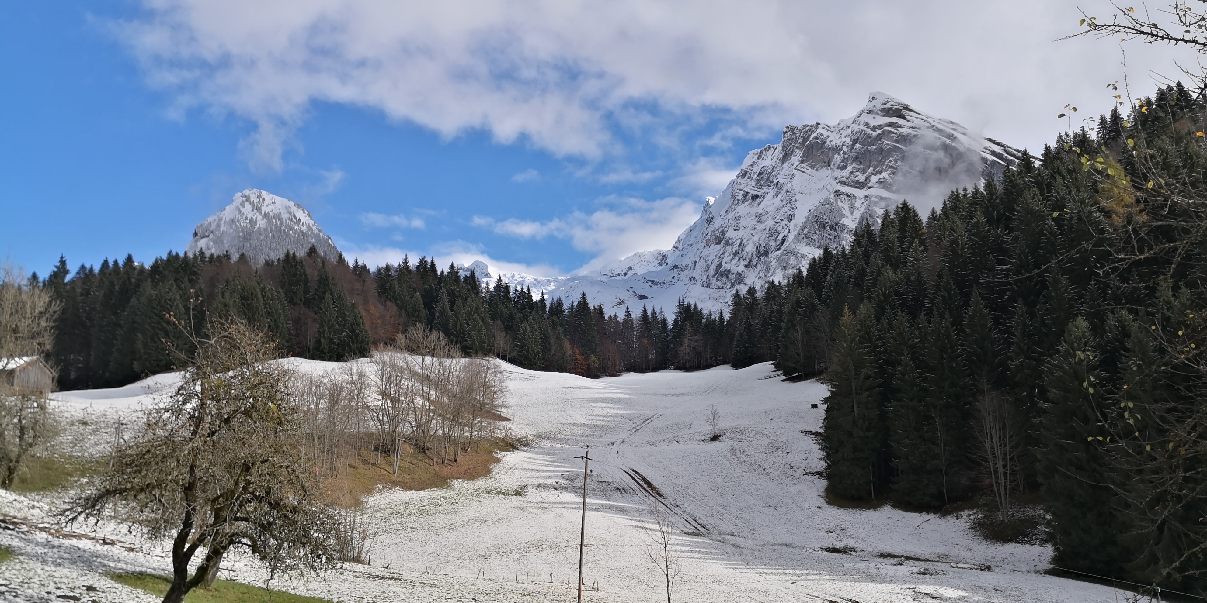 Photo n° 1 de l'avis de Alexandre.o fait le 22/11/2019 à 11:39