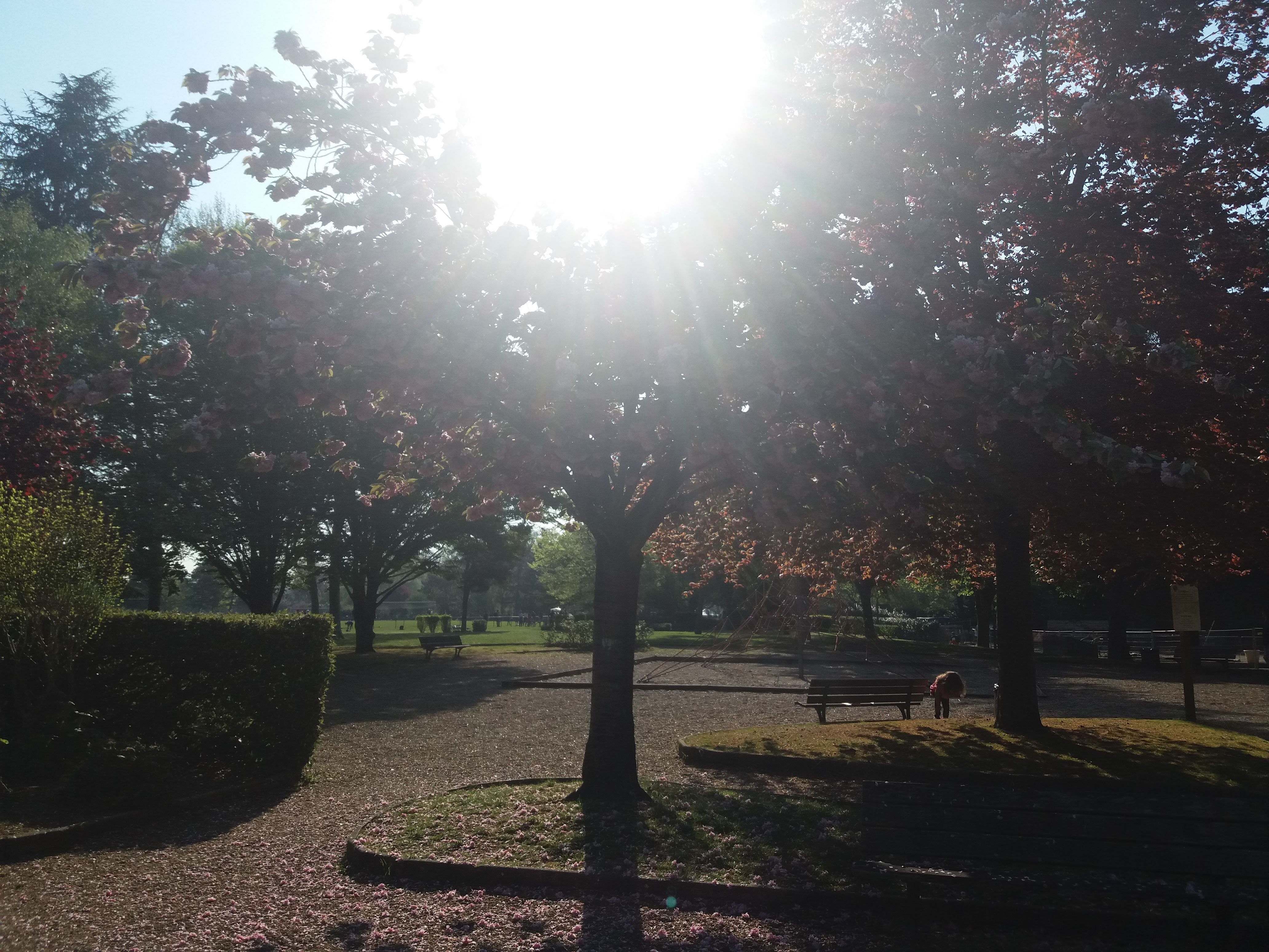 Photo n° 3 de l'avis de Nora.s fait le 20/04/2019 à 17:03
