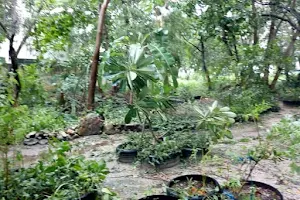 El Jardín de Las Libélulas image