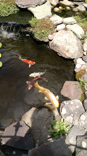 Garden Center «Riverview Tree & Landscaping, Inc.», reviews and photos, 3049 Pricetown Rd, Temple, PA 19560, USA