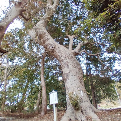 赤山神社