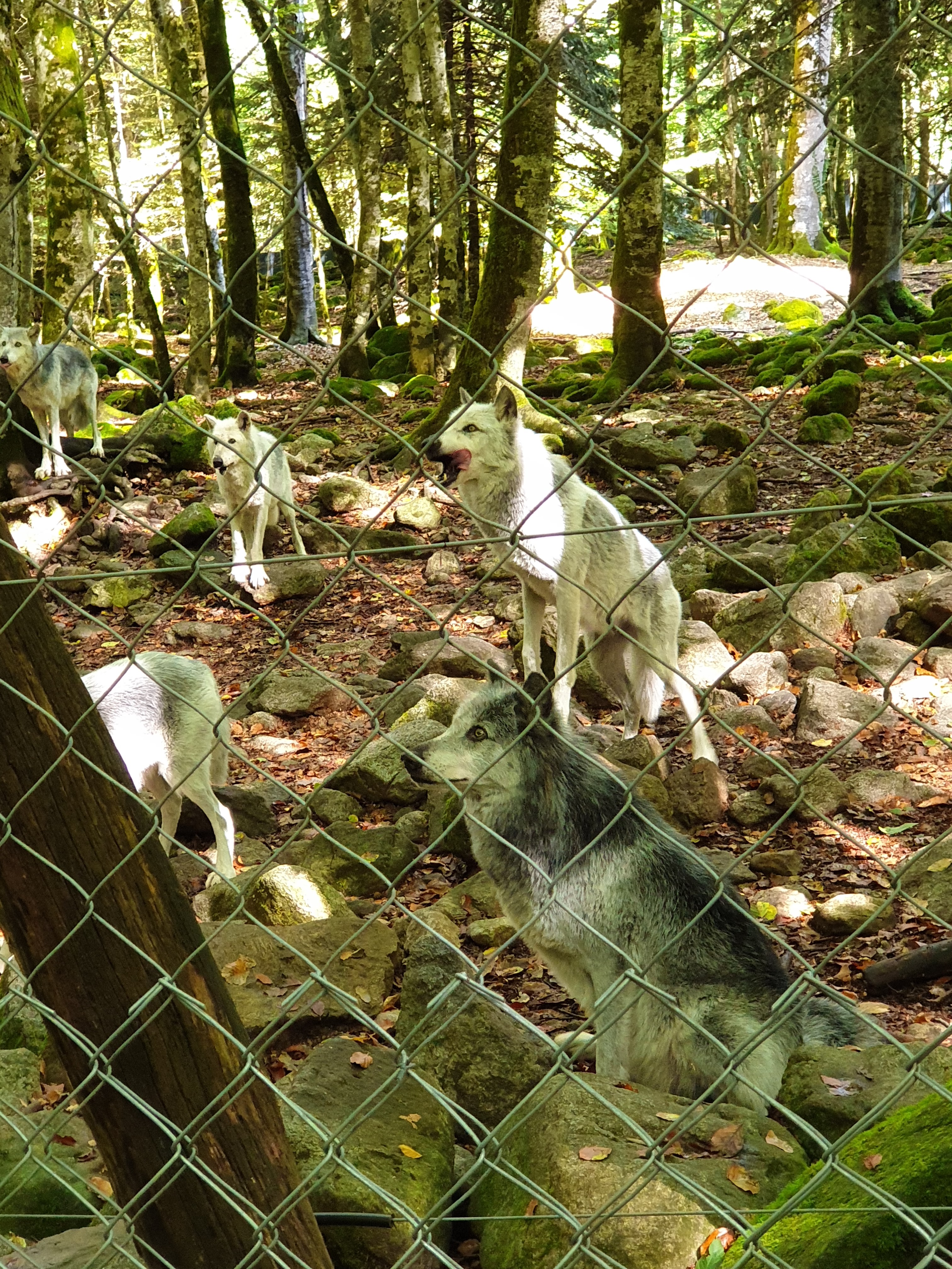 Photo n° 3 de l'avis de Sarah.h fait le 16/09/2020 à 12:45