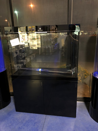 Aquarium «Artistic Aquariums, Inc», reviews and photos, 3400 N Arizona Ave #111, Chandler, AZ 85225, USA