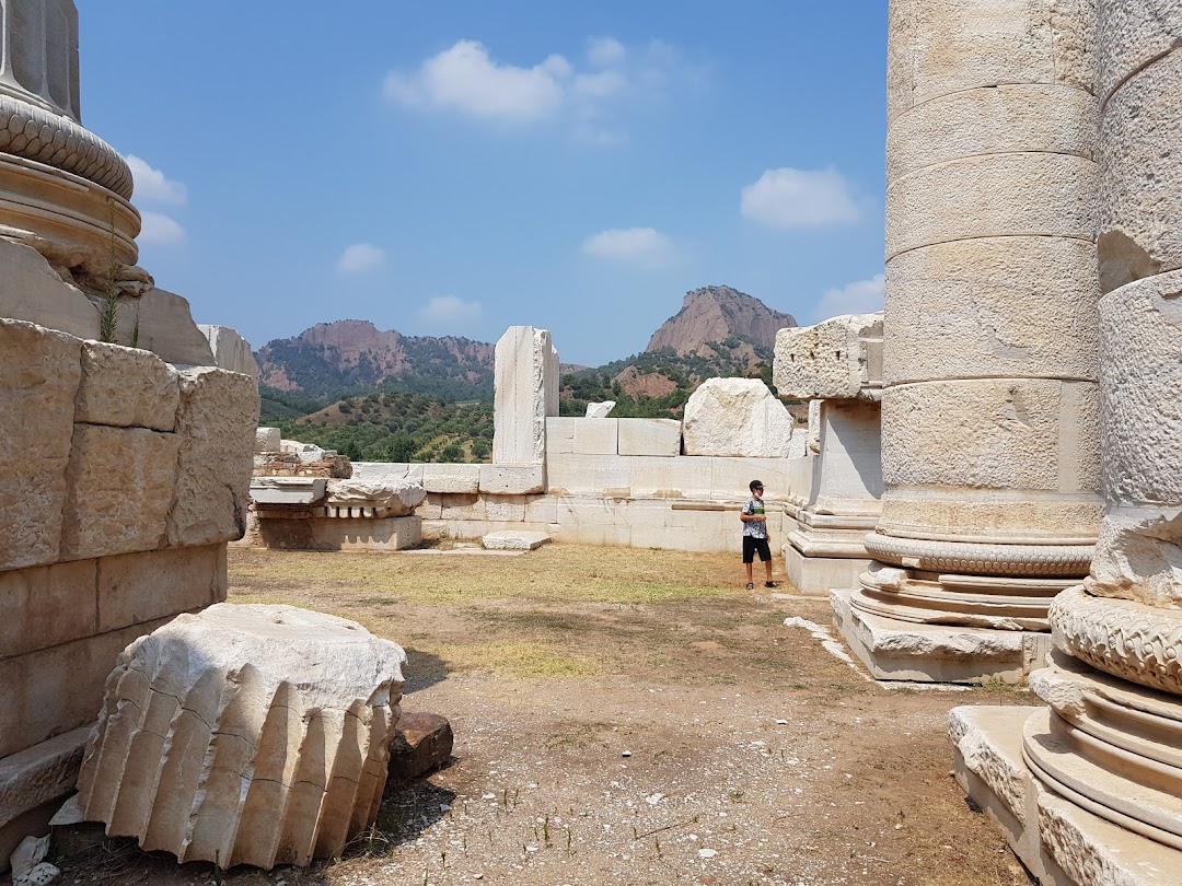 Templo de Artenmisa