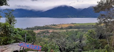 Ptpn 6 Unit Usaha Pangkalan 50 Kota (Plk)