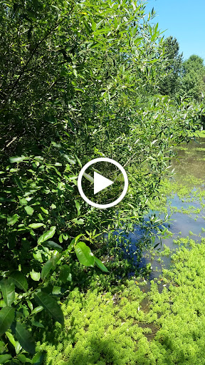 Park «Vista Brook Park», reviews and photos, 6697 SW 88th Ave, Portland, OR 97223, USA