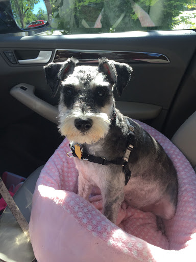 Grocery Store «Grocery Outlet Bargain Market», reviews and photos, 52115 SW Chinook Plaza, Scappoose, OR 97056, USA