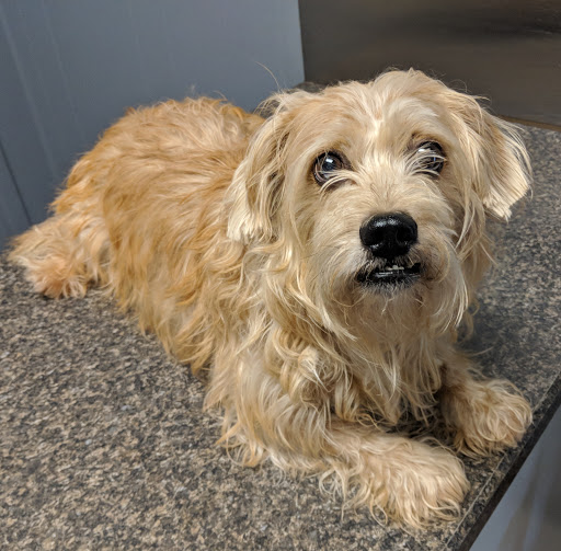 2450 N Main St, Madisonville, KY 42431, USA