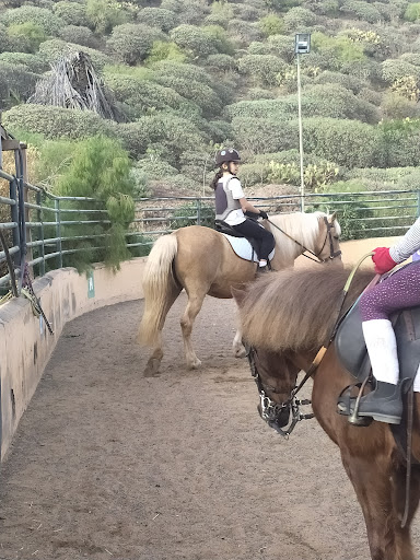 Centro Hípico Hipovet Canarias ( Club Del Pony )