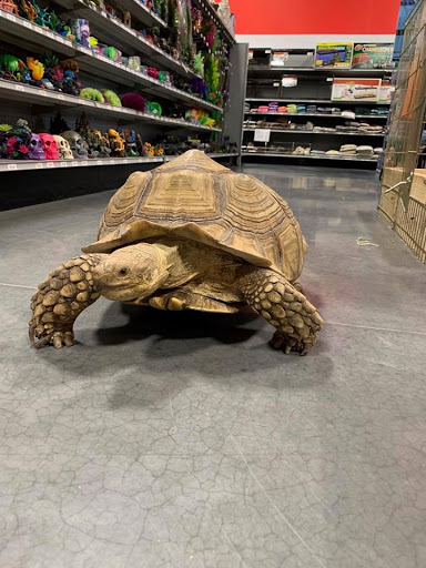 Pet Groomer «We Lov Pets», reviews and photos, 3853 Northpointe Dr, Zanesville, OH 43701, USA